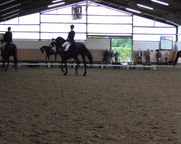 Reitturnier Datteln 2019