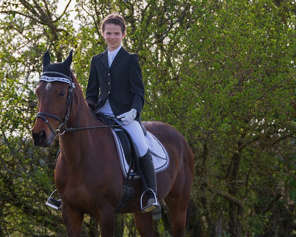 Dressurpferd Zitnas Silver Bell (Deutsches Reitpony, 2004, von Vespucco)