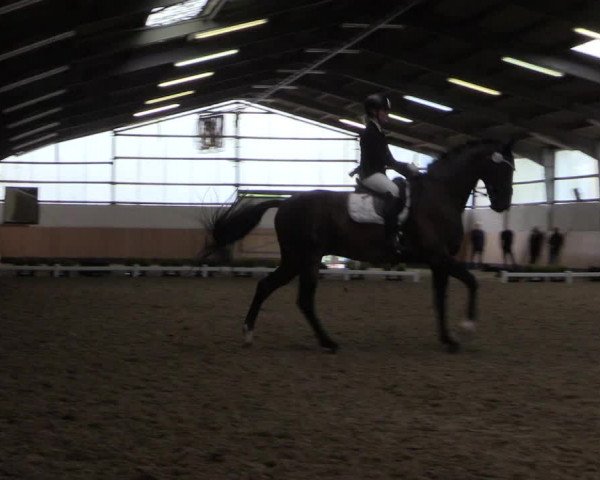 Reitturnier Datteln 2019