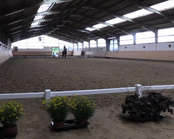Reitturnier Datteln 2019
