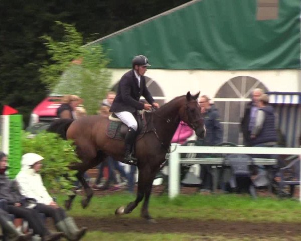 Reitturnier Langstedt-Bollingstedt 2019