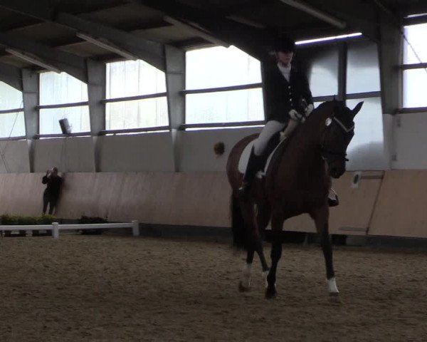 Reitturnier Datteln 2019