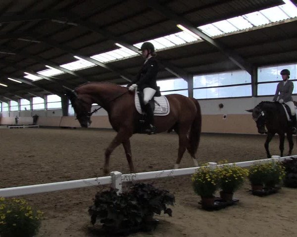Reitturnier Datteln 2019
