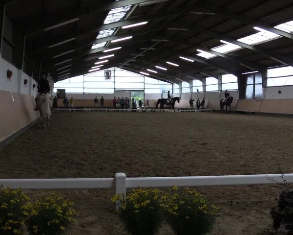 Reitturnier Datteln 2019