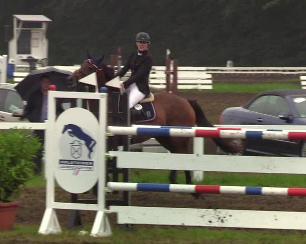 Reitturnier Langstedt-Bollingstedt 2019