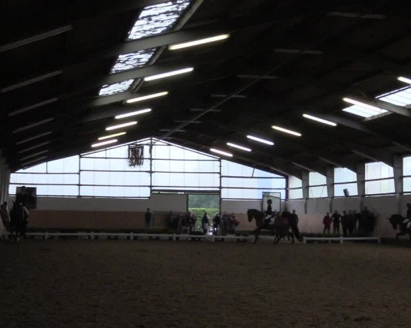 Reitturnier Datteln 2019