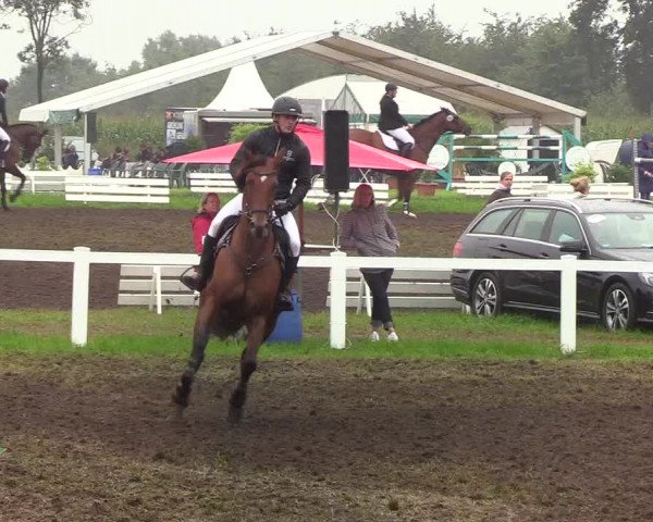 Reitturnier Langstedt-Bollingstedt 2019
