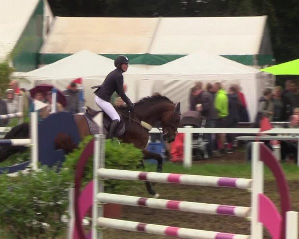 Reitturnier Langstedt-Bollingstedt 2019