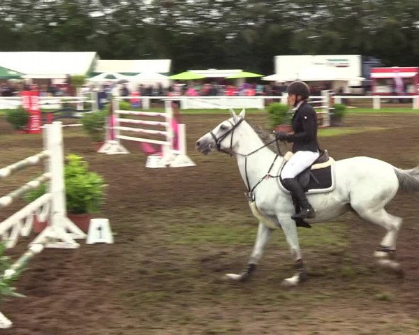 Reitturnier Langstedt-Bollingstedt 2019