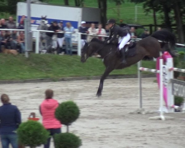 Reitturnier Bergisch Classics - Hebborner Hof 2019