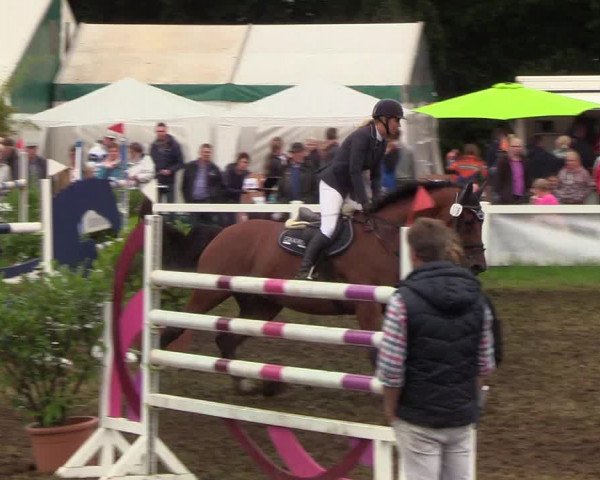 Reitturnier Langstedt-Bollingstedt 2019