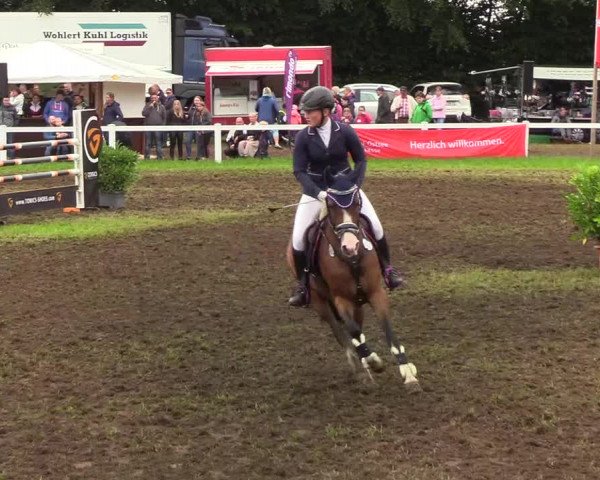 Reitturnier Langstedt-Bollingstedt 2019