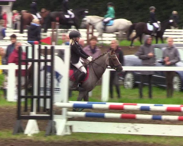 Reitturnier Langstedt-Bollingstedt 2019