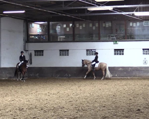 Reitturnier Ascheberg 2021
