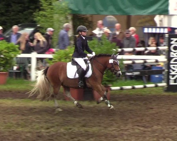 Reitturnier Langstedt-Bollingstedt 2019