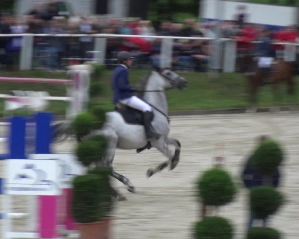 Reitturnier Bergisch Classics - Hebborner Hof 2019