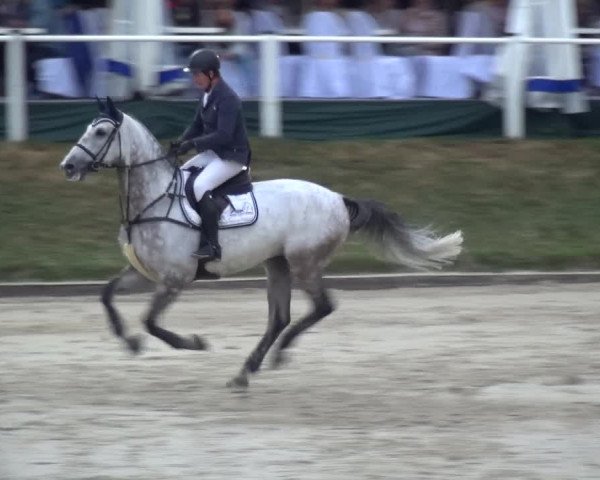 Reitturnier Bergisch Classics - Hebborner Hof 2019
