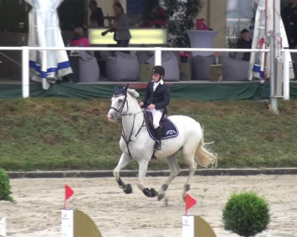 Reitturnier Bergisch Classics - Hebborner Hof 2019