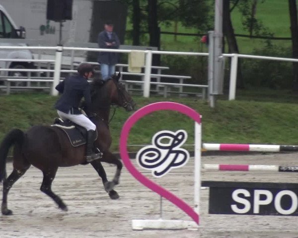 Reitturnier Bergisch Classics - Hebborner Hof 2019