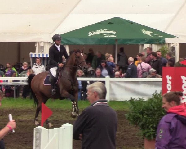 Reitturnier Langstedt-Bollingstedt 2019