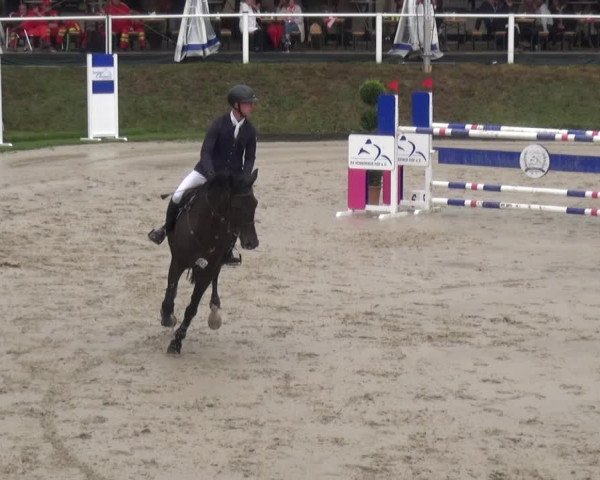 Reitturnier Bergisch Classics - Hebborner Hof 2019