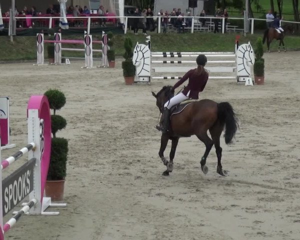 Reitturnier Bergisch Classics - Hebborner Hof 2019
