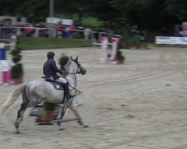 Reitturnier Bergisch Classics - Hebborner Hof 2019