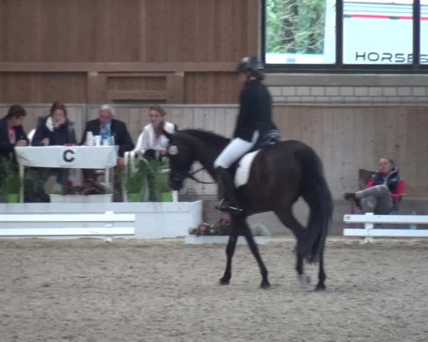 Reitturnier Bergisch Classics - Hebborner Hof 2019