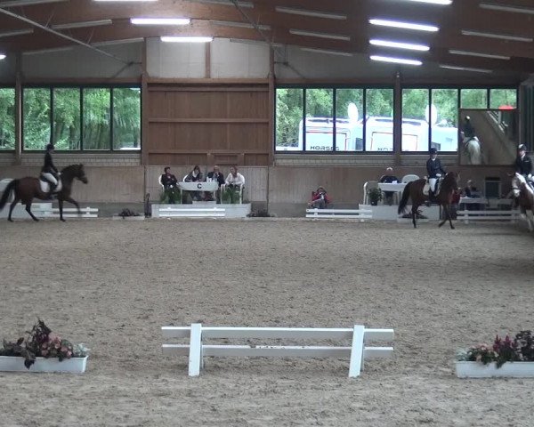 Reitturnier Bergisch Classics - Hebborner Hof 2019
