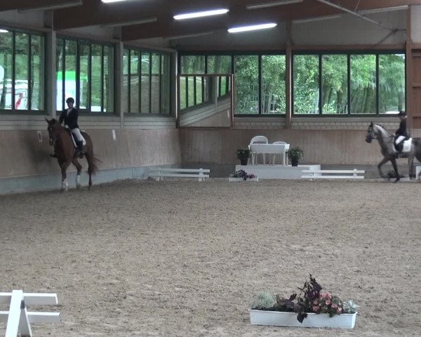 Reitturnier Bergisch Classics - Hebborner Hof 2019