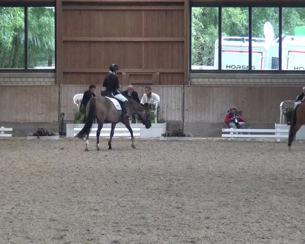 Reitturnier Bergisch Classics - Hebborner Hof 2019