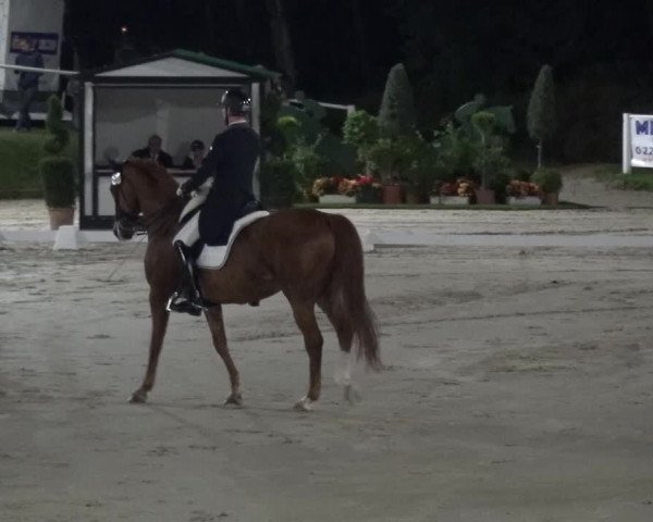 Reitturnier Bergisch Classics - Hebborner Hof 2019