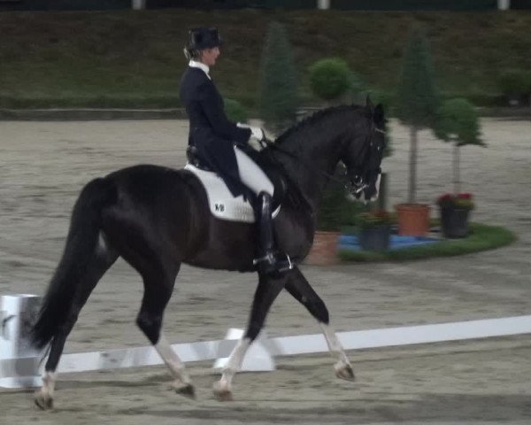 Reitturnier Bergisch Classics - Hebborner Hof 2019