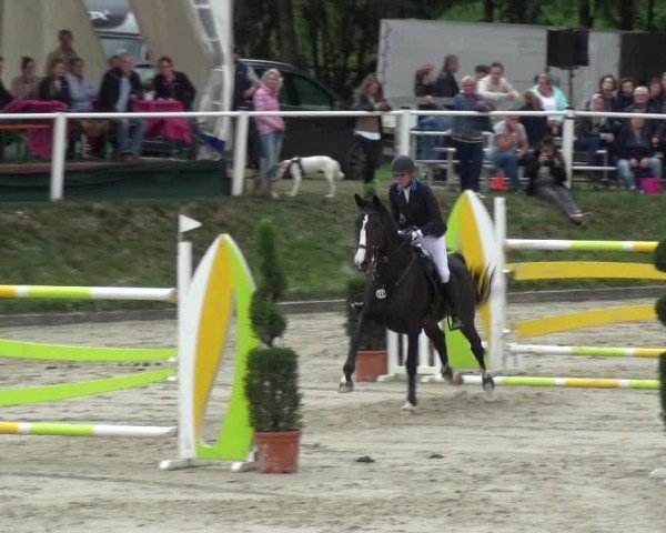 Reitturnier Bergisch Classics - Hebborner Hof 2019