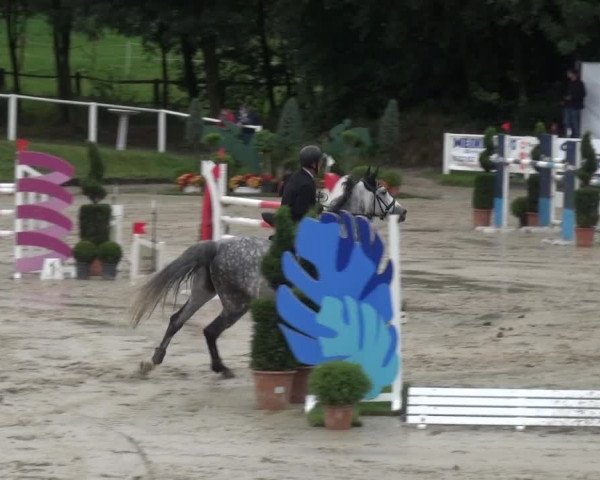 Reitturnier Bergisch Classics - Hebborner Hof 2019