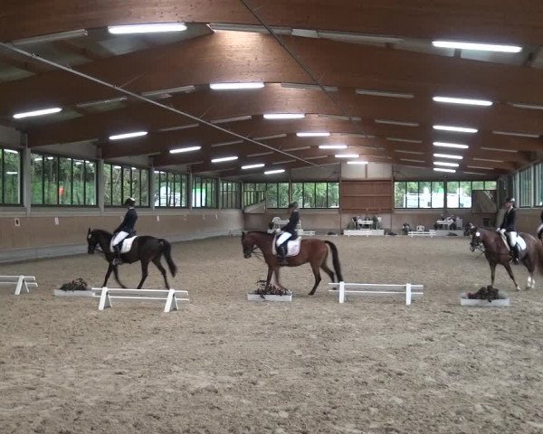 Reitturnier Bergisch Classics - Hebborner Hof 2019