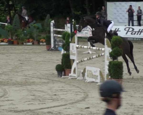 Reitturnier Bergisch Classics - Hebborner Hof 2019