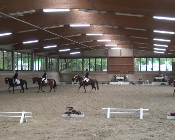 Reitturnier Bergisch Classics - Hebborner Hof 2019