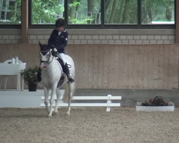 Reitturnier Bergisch Classics - Hebborner Hof 2019