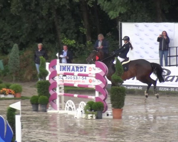 Reitturnier Bergisch Classics - Hebborner Hof 2019