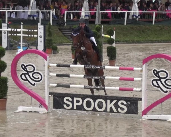 Reitturnier Bergisch Classics - Hebborner Hof 2019