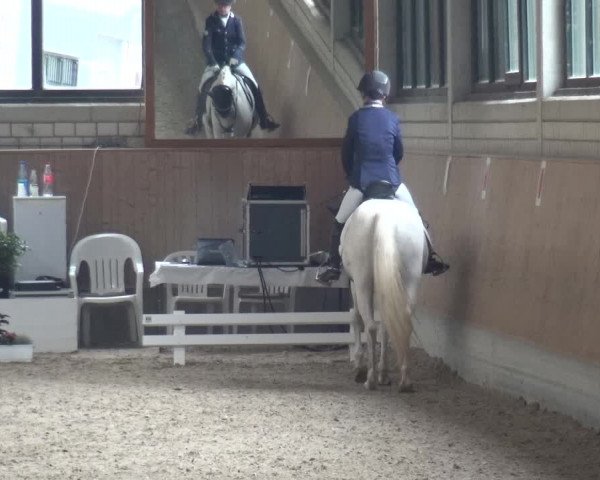 Reitturnier Bergisch Classics - Hebborner Hof 2019