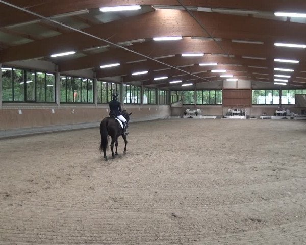 Reitturnier Bergisch Classics - Hebborner Hof 2019