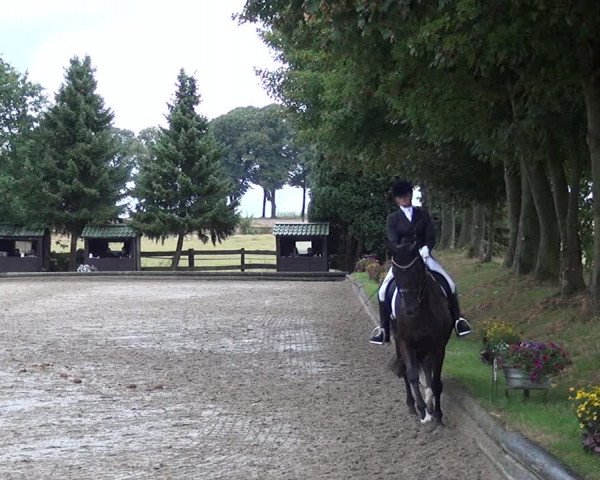 Reitturnier Datteln 2019