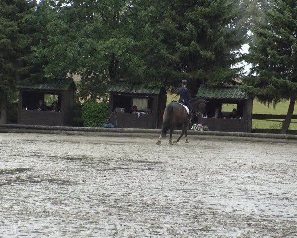 Reitturnier Datteln 2019
