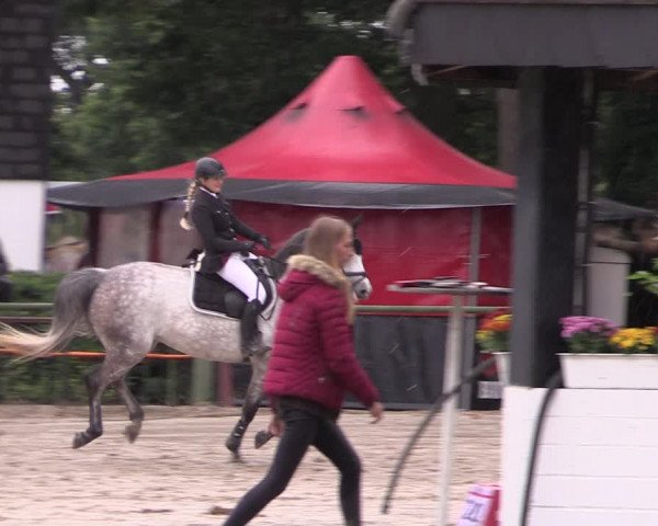 Reitturnier Datteln 2019
