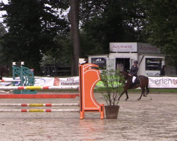Reitturnier Datteln 2019
