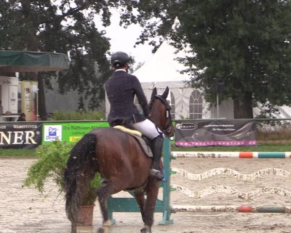 Reitturnier Datteln 2019