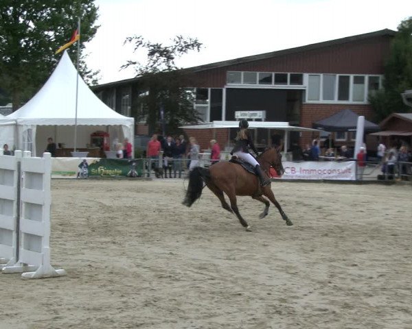 Reitturnier Münster-Albachten 2019