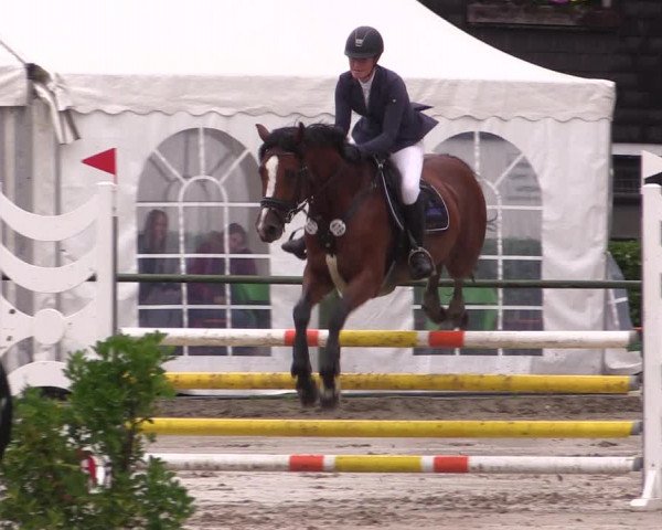 Reitturnier Datteln 2019